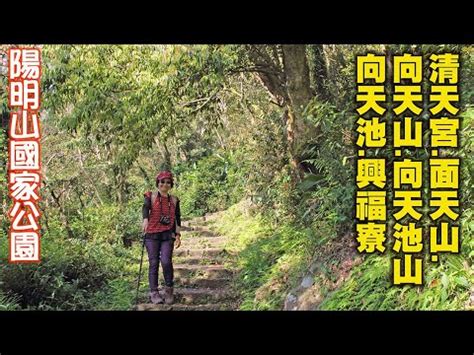 興福寮登山口|2023/12/31 面天山